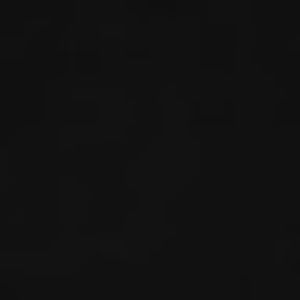 Meet your Posher, Bryan